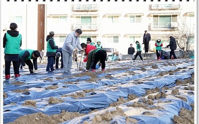 광주시 탄벌동 새마을남녀협의회, ‘사랑의 감자 심기’로 희망 나눔 실천 (2).jpg width: 100%; height : 150px