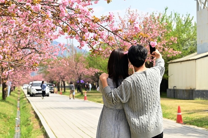 (사진2)하남시 미사경정공원·호수공원, 겹벚꽃과 튤립으로 물든 도심 속 봄 명소.jpg