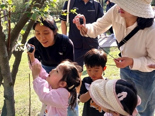 (0425)[휴양시설관리과]숲에서 배우는 봄 … 남양주시, 가족 유아숲 체험 ‘상상 the 숲놀이’ 운영(사진2).jpg
