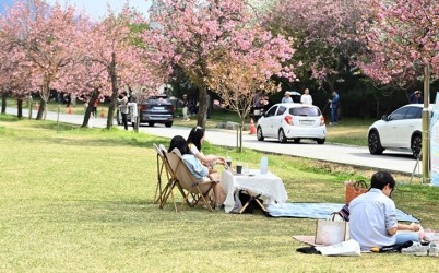 (사진1)하남시 미사경정공원·호수공원, 겹벚꽃과 튤립으로 물든 도심 속 봄 명소.jpg width: 100%; height : 150px