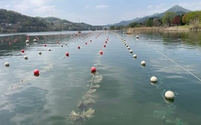 (0423)[농축산지원과]남양주시, 내수면 수산자원 증식을 위한 인공산란장 조성(인공산란장).jpg width: 100%; height : 150px