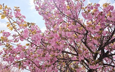 3529590329_20250424101509_9889600402 복사 2.jpg width: 100%; height : 150px