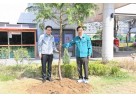(사진1)하남시, 도심 속 녹색쉼터 ‘편백나무길’ 조성.jpg