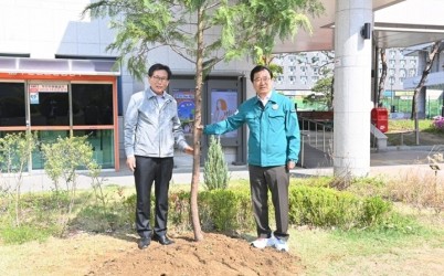 (사진1)하남시, 도심 속 녹색쉼터 ‘편백나무길’ 조성.jpg