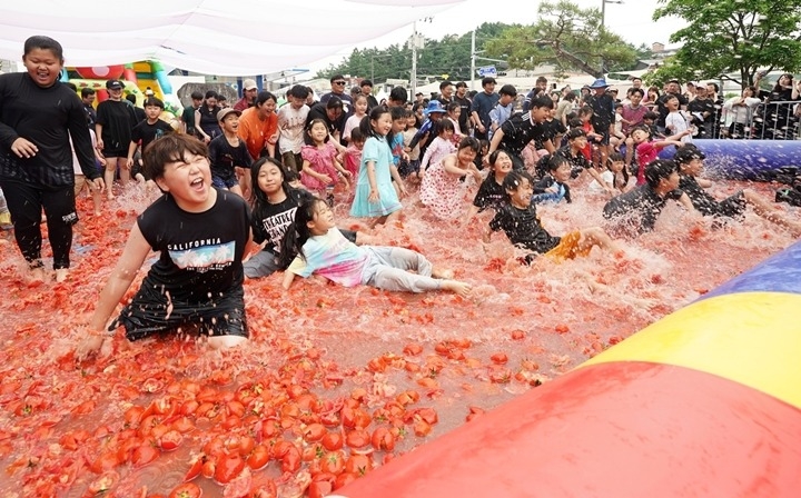 제23회 퇴촌토마토거리축제, 3일간 30만 명 방문 속 성황리 폐막 (2).jpg