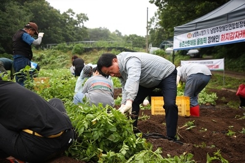(0626)[장애인복지과]주광덕 남양주시장, 장애인과 함께한 하지 감자 캐기 체험…“따뜻한 연대의 자리로 자리매김하길”(사진1. 하지감자 캐는 주광덕 시장).jpg