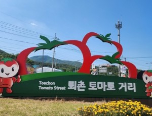 광주시, ‘퇴촌토마토거리’ 안내시설물 설치 완료…축제 활성화 기대 (1).jpeg