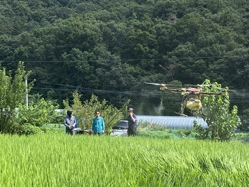 (0808)[농업기술과]드론 활용한 병해충 방제(사진1).jpg