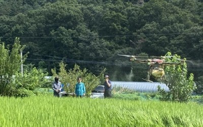 (0808)[농업기술과]드론 활용한 병해충 방제(사진1).jpg