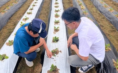 광주시농업기술센터, ‘지역특화 활력화 사업’ 추진 (1).jpg width: 100%; height : 150px