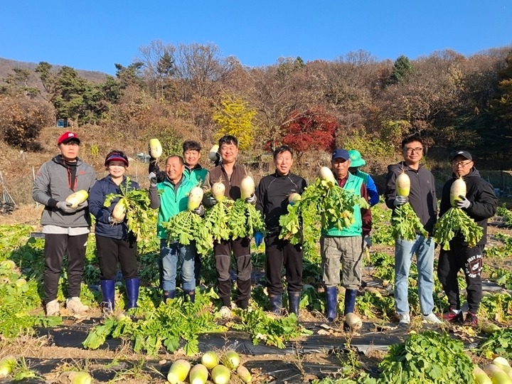 광주시 탄벌동 새마을회, ‘사랑의 무’ 1천200㎏ 수확…이웃사랑 실천.jpg