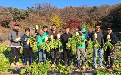 광주시 탄벌동 새마을회, ‘사랑의 무’ 1천200㎏ 수확…이웃사랑 실천.jpg width: 100%; height : 150px