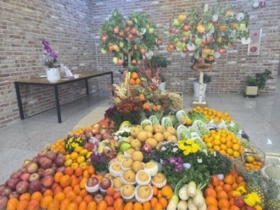 (1120)[별내동 복지지원과]별내동안교회, 별내동에 추수감사절 맞이 과일 꾸러미 기부(사진1).jpg