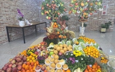 (1120)[별내동 복지지원과]별내동안교회, 별내동에 추수감사절 맞이 과일 꾸러미 기부(사진1).jpg width: 100%; height : 150px