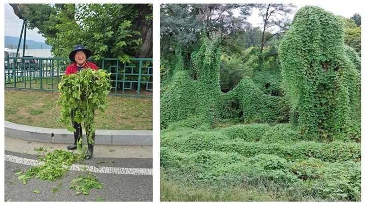 KakaoTalk_20251230_180100301 복사.jpg