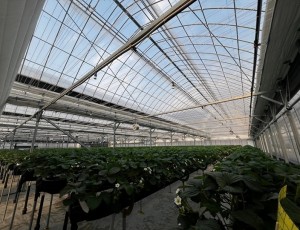 광주시, 선택형 맞춤 농정사업 추진…명품 농산물 육성 본격화 (2).jpg