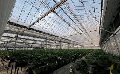 광주시, 선택형 맞춤 농정사업 추진…명품 농산물 육성 본격화 (2).jpg width: 100%; height : 150px