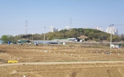 (0224)[농생명정책과]남양주시, ‘2026년 정약용 도시텃밭’분양…도심 속 치유 공간 마련(사진).jpg width: 100%; height : 150px