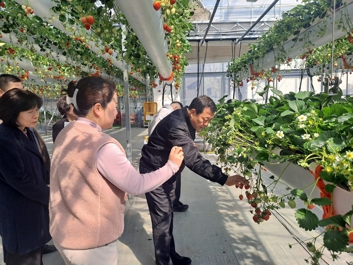 광주시 김충범 부시장, 곤지암읍 딸기 재배 농가 현장 방문 (1).jpg