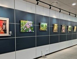 (0303)[다산평생학습과]남양주시, 다산역 시민참여 갤러리 전시단체 공개 모집(사진).jpg