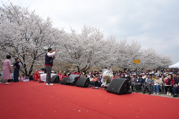 (사진3)눈 감으면 선율, 눈 뜨면 벚꽃… 하남 당정뜰 ‘봄봄’ 축제에 홀린 주말.jpg