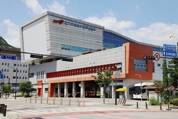 “사람 구하러 갔는데 개가 덥석”…119출동 시 ‘반려견 주…