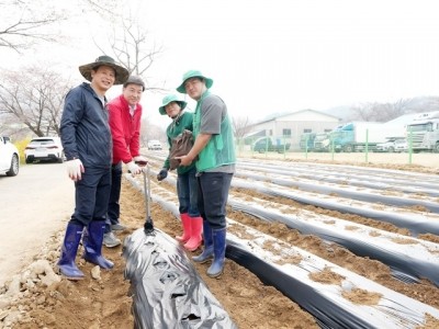 광주시 오포2동, 공동체 텃밭서 ‘사랑의 감자 심기’ 추진 (2).jpg