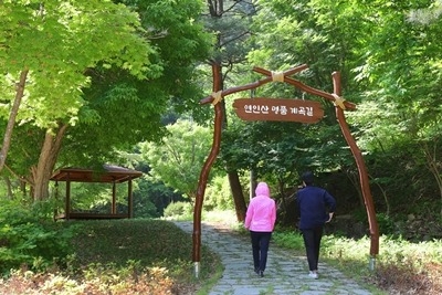 경기도, “여름철 용추계곡 물놀이 조심하세요”…안전 관리 강…