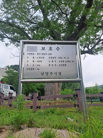 20260610_보호수지정표지판.jpg