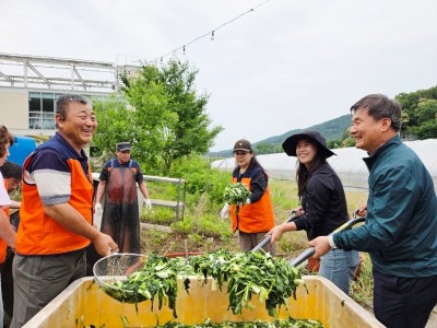 (0608)[조안면]남양주시 조안․와부 64하내천봉사대, ‘제9회 사랑의 열무김치 나눔’ 봉사 전개(사진2).jpeg