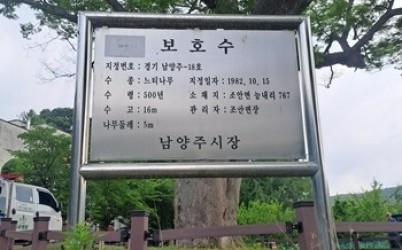 20260610_보호수지정표지판.jpg width: 100%; height : 150px