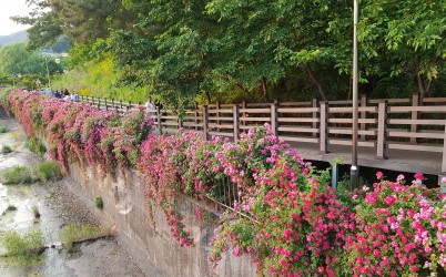  width: 100%; height : 150px